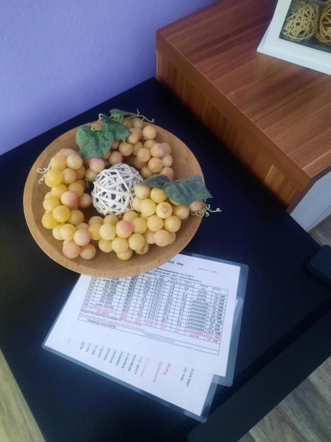 Apartman Sandra Вальтице Экстерьер фото